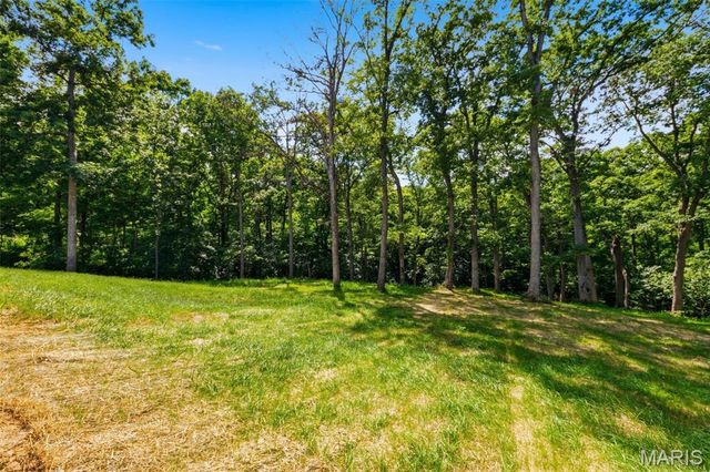 15 Woodline Drive, Winfield, MO 63389