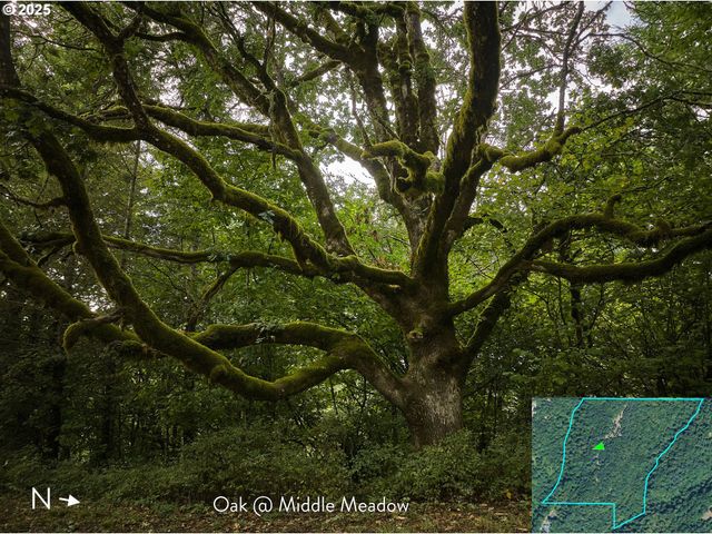 Se Wooding Rd, Washougal, WA 98671