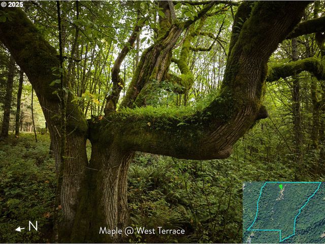 Se Wooding Rd, Washougal, WA 98671