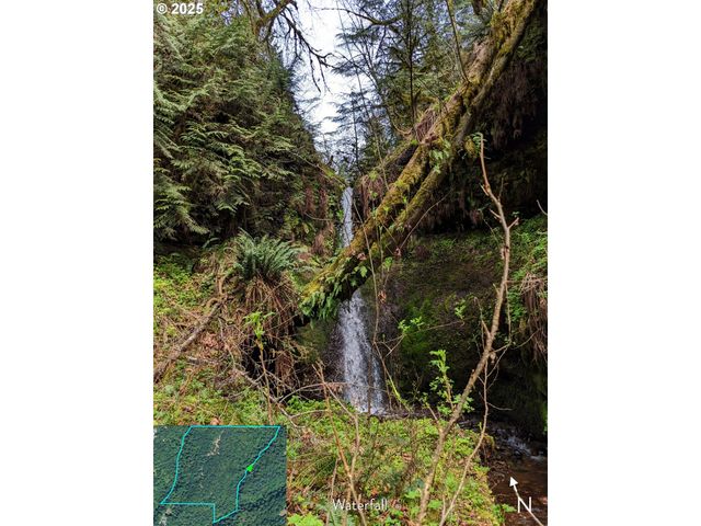 Se Wooding Rd, Washougal, WA 98671