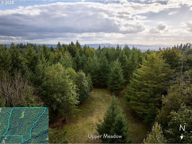 Se Wooding Rd, Washougal, WA 98671