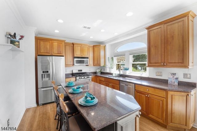 33 Catamaran Ct, Mount Arlington Boro, NJ 07856