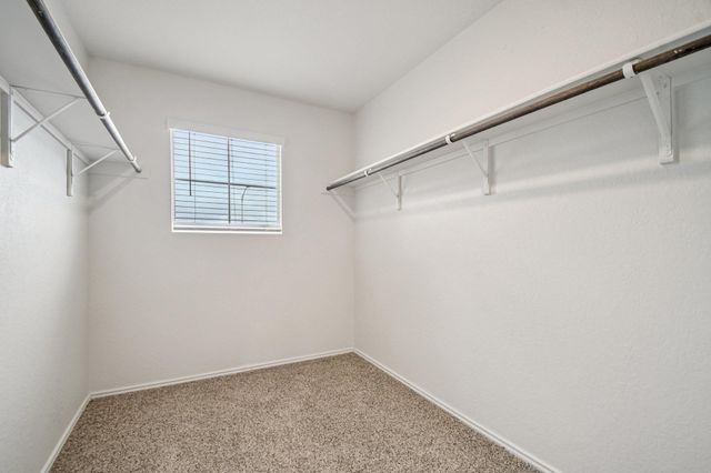 161 Roanwood DR, San Marcos, TX 78666