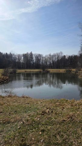 7091 Ann Arbor Road, Leoni Twp, MI 49201