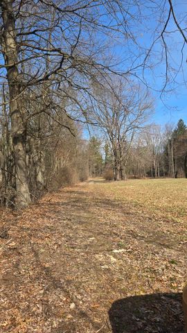 7091 Ann Arbor Road, Leoni Twp, MI 49201