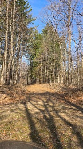 7091 Ann Arbor Road, Leoni Twp, MI 49201