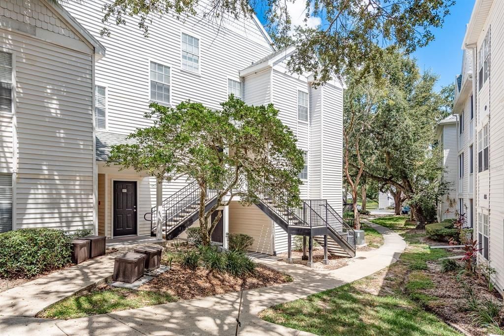 3266 HAVILAND COURT 203, Palm Harbor, FL 34684