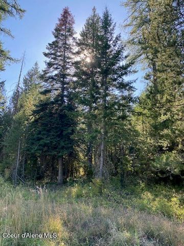 L3B10 N Walden Loop, Rathdrum, ID 83858