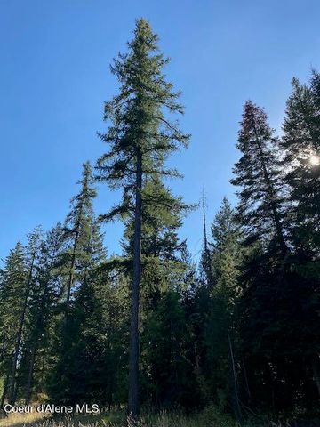 L3B10 N Walden Loop, Rathdrum, ID 83858