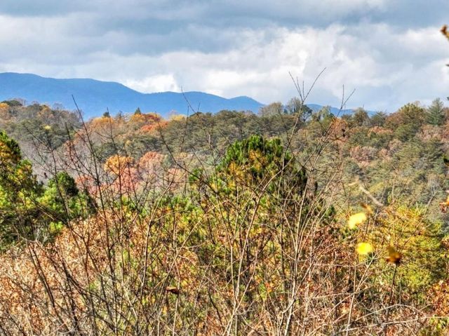 100 Arrow Way, Mineral Bluff, GA 30559