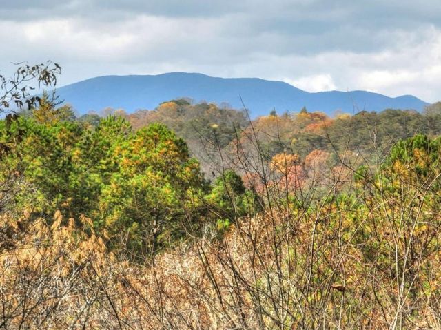 100 Arrow Way, Mineral Bluff, GA 30559