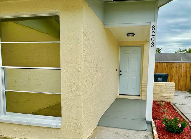 8203 OLIVEWOOD PLACE, Tampa, FL 33615