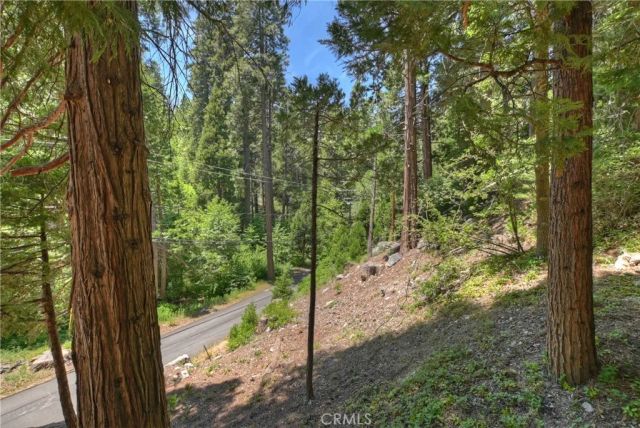 425 Blue Jay Canyon Road, Blue Jay, CA 92317