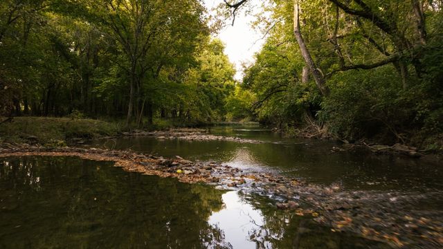 9944 Maupin Rd, Brentwood, TN 37027