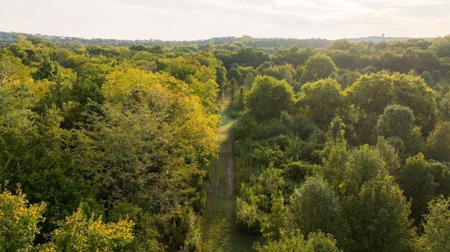 9944 Maupin Rd, Brentwood, TN 37027