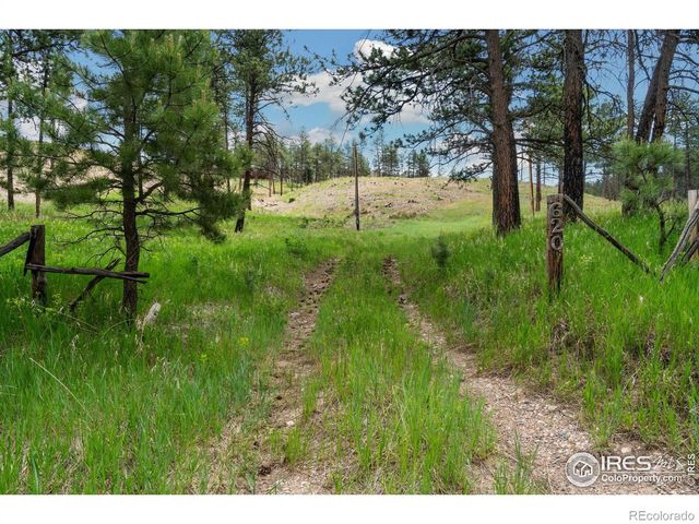 620 Davis Ranch Road, Bellvue, CO 80512