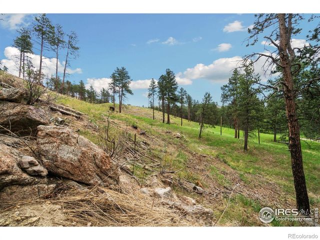 620 Davis Ranch Road, Bellvue, CO 80512