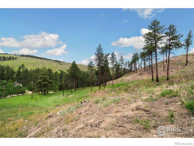 620 Davis Ranch Road, Bellvue, CO 80512