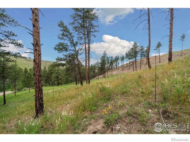 620 Davis Ranch Road, Bellvue, CO 80512
