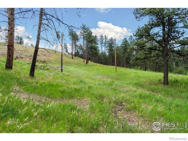 620 Davis Ranch Road, Bellvue, CO 80512