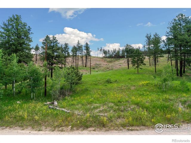 620 Davis Ranch Road, Bellvue, CO 80512