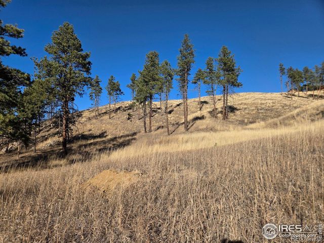 620 Davis Ranch Road, Bellvue, CO 80512