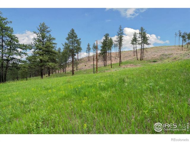 620 Davis Ranch Road, Bellvue, CO 80512