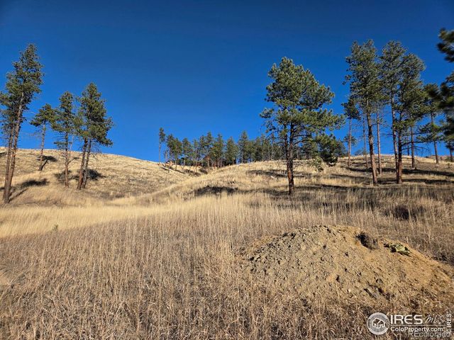 620 Davis Ranch Road, Bellvue, CO 80512