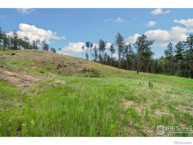 620 Davis Ranch Road, Bellvue, CO 80512