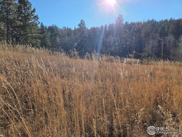 620 Davis Ranch Road, Bellvue, CO 80512