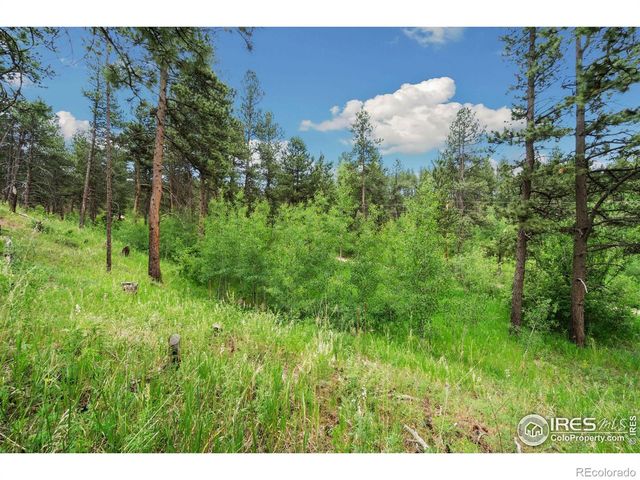 620 Davis Ranch Road, Bellvue, CO 80512