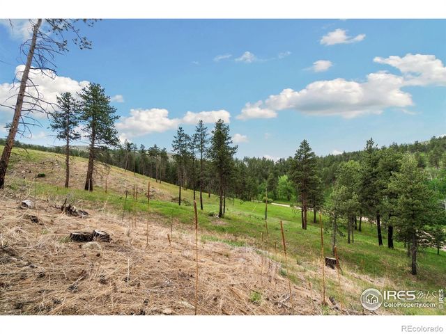 620 Davis Ranch Road, Bellvue, CO 80512