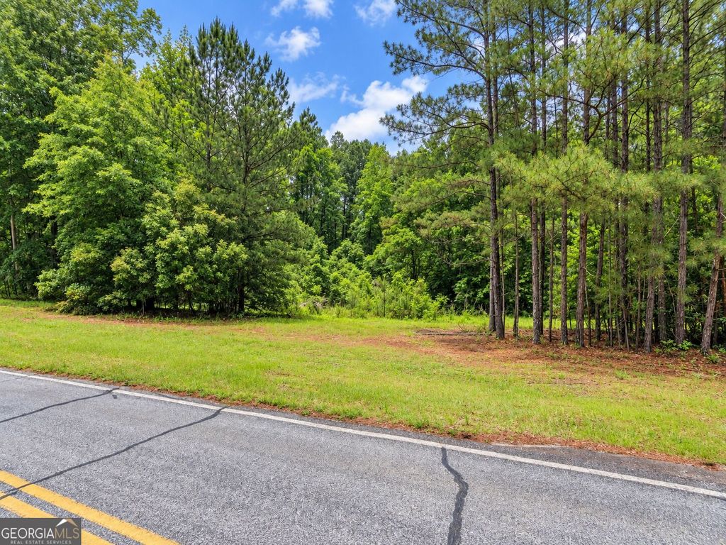3 ACRES Adcock Road, Newnan, GA 30263 — photo 2