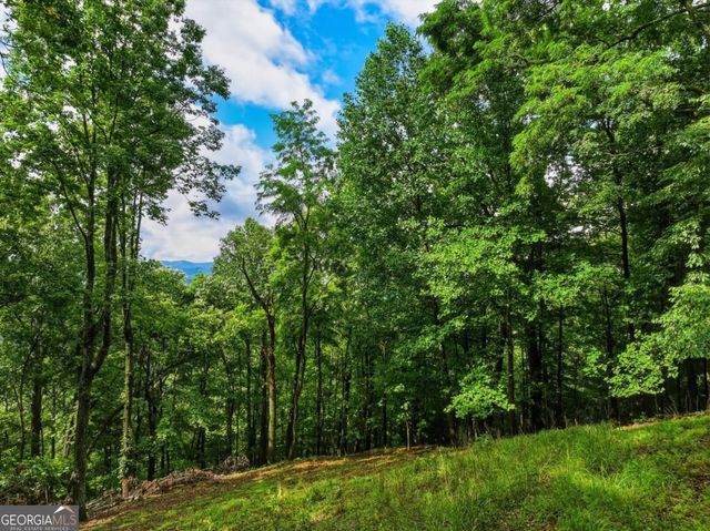 1220 Walnut Ridge, Ellijay, GA 30536