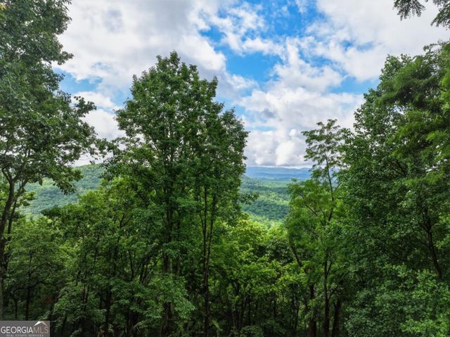 1220 Walnut Ridge, Ellijay, GA 30536