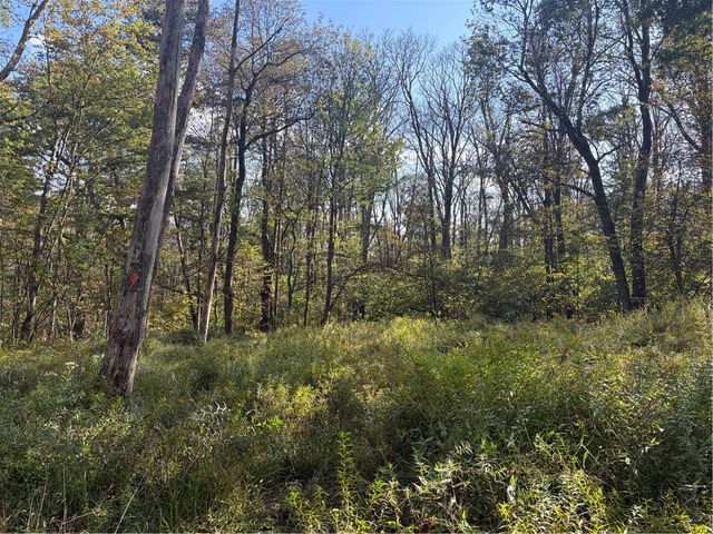 0000 County Line Rd, Middlecreek Twp, PA 15622