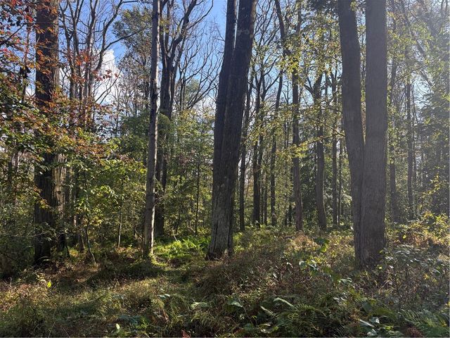 0000 County Line Rd, Middlecreek Twp, PA 15622