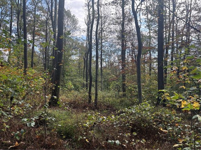 0000 County Line Rd, Middlecreek Twp, PA 15622