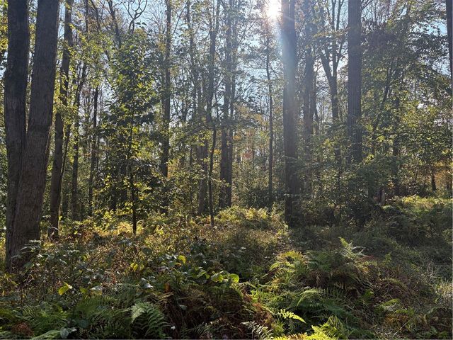 0000 County Line Rd, Middlecreek Twp, PA 15622