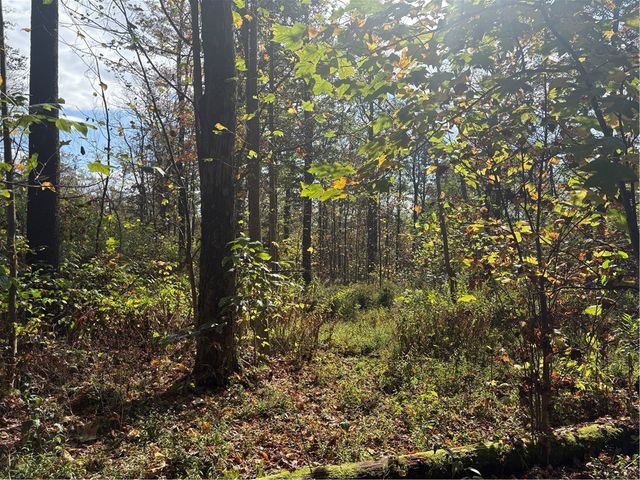 0000 County Line Rd, Middlecreek Twp, PA 15622