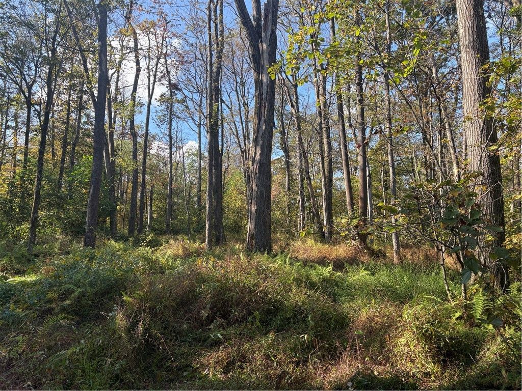 0000 County Line Rd, Middlecreek Twp, PA 15622