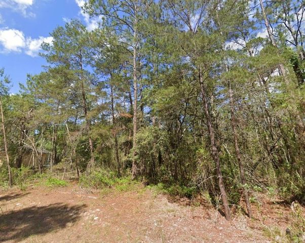 15 PETUNIAS COURT, Homosassa, FL 34446