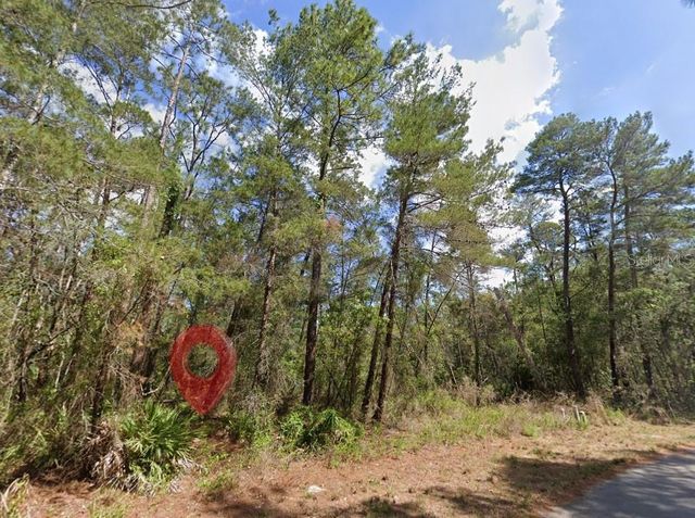 15 PETUNIAS COURT, Homosassa, FL 34446