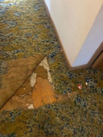 3737 N Walrond Avenue, Kansas City, MO 64117