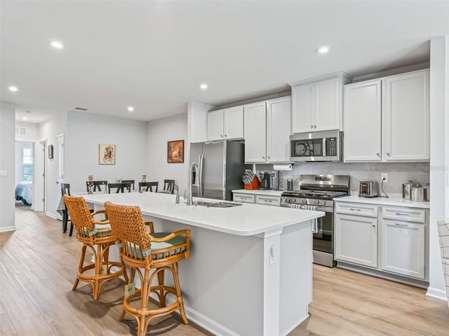 1238 TURTLE ISLAND ROAD, Lady Lake, FL 32159