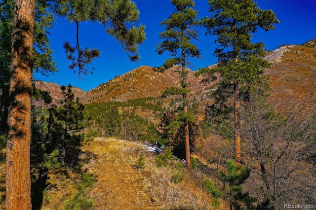 5330 Chipita Pines Drive, Cascade, CO 80809