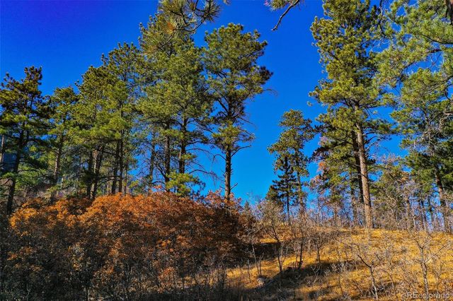 5330 Chipita Pines Drive, Cascade, CO 80809