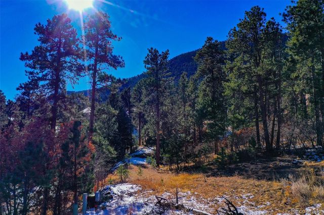 5330 Chipita Pines Drive, Cascade, CO 80809