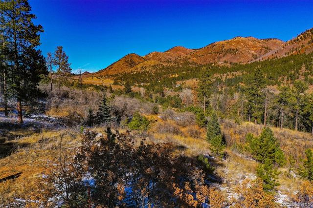 5330 Chipita Pines Drive, Cascade, CO 80809