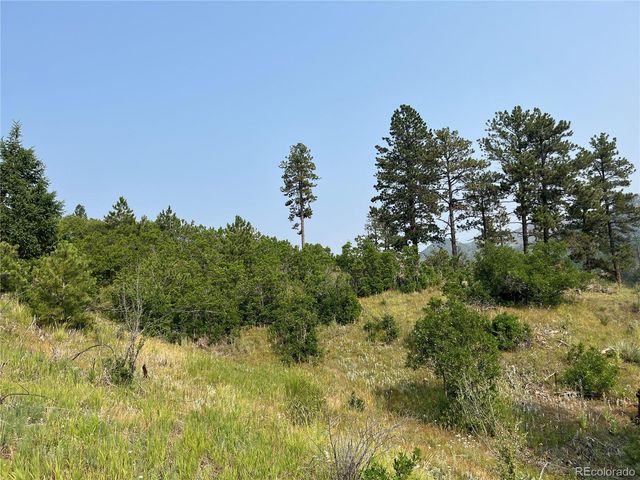 5330 Chipita Pines Drive, Cascade, CO 80809